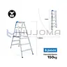 Escalera Banqueta Doble Acceso 6 Pasos (ABD150-6IA) American Bull 2